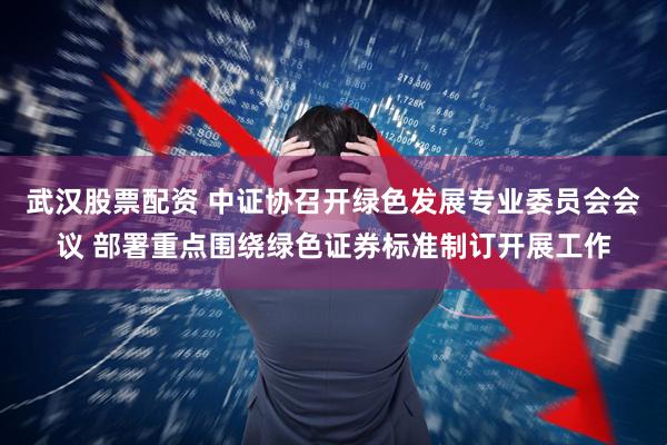 武汉股票配资 中证协召开绿色发展专业委员会会议 部署重点围绕绿色证券标准制订开展工作